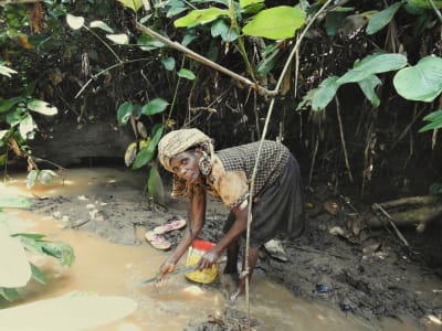 WWF, Human Rights Abuses and the need to Decolonise Conservation